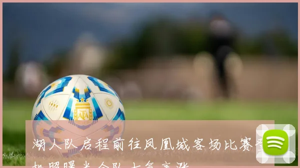 湖人队启程前往凤凰城客场比赛登机照曝光全队士气高涨